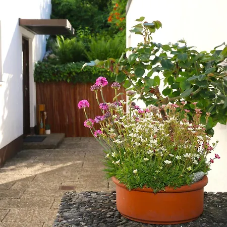 Weiher Mit Terrasse & Parkplatz Apartamento *